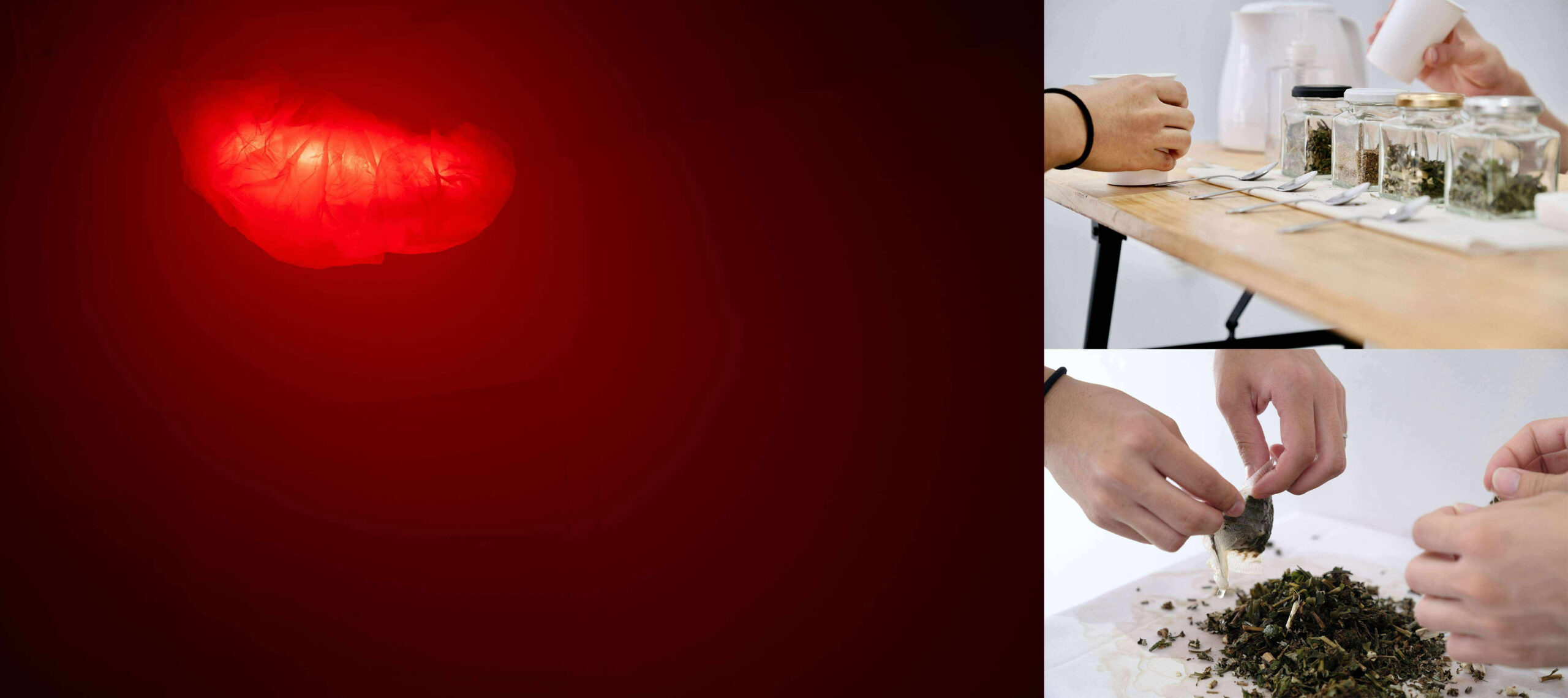 尹泰陽・高梨麻梨香